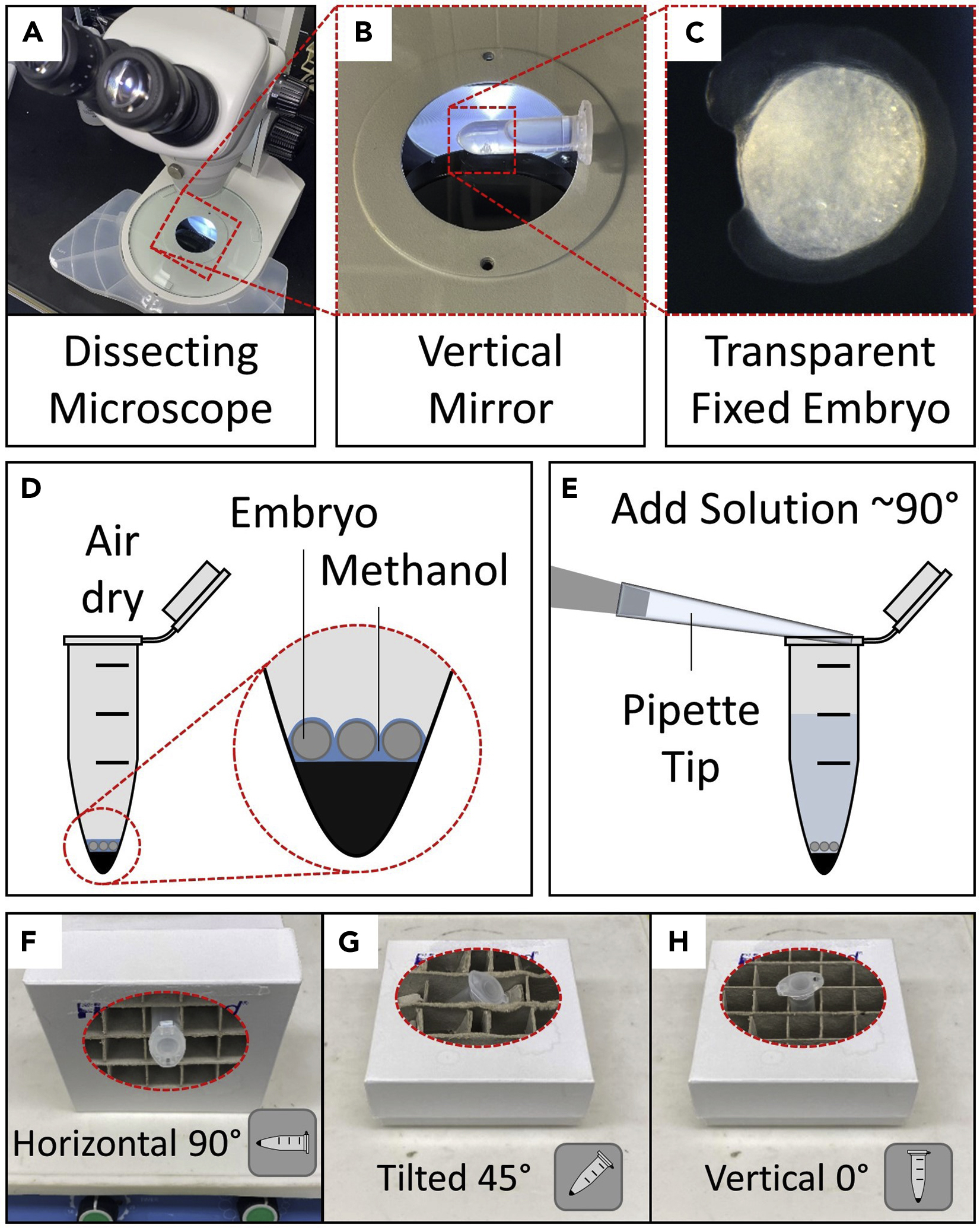 Cell Press STAR Protocols