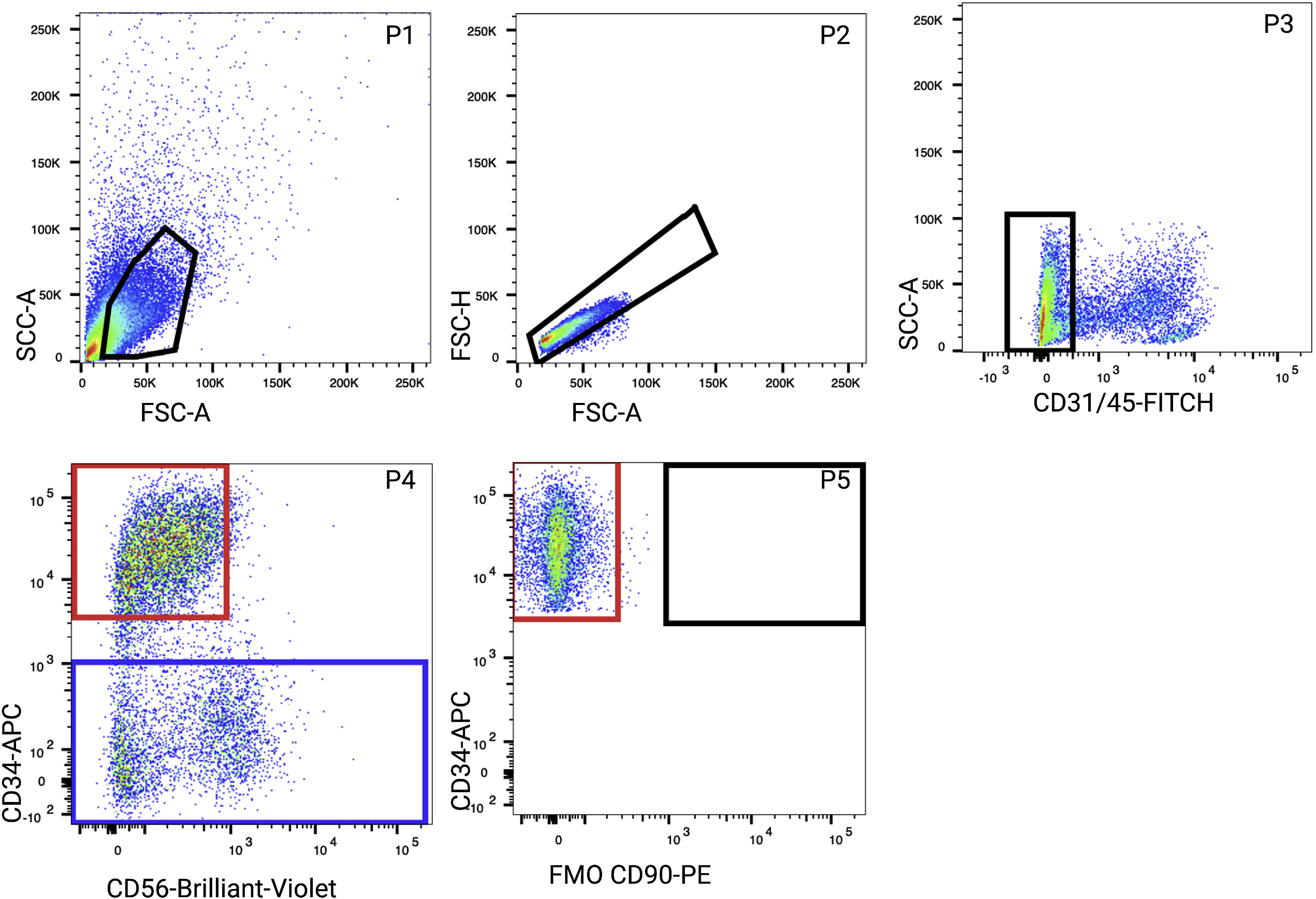 Cell Press: STAR Protocols