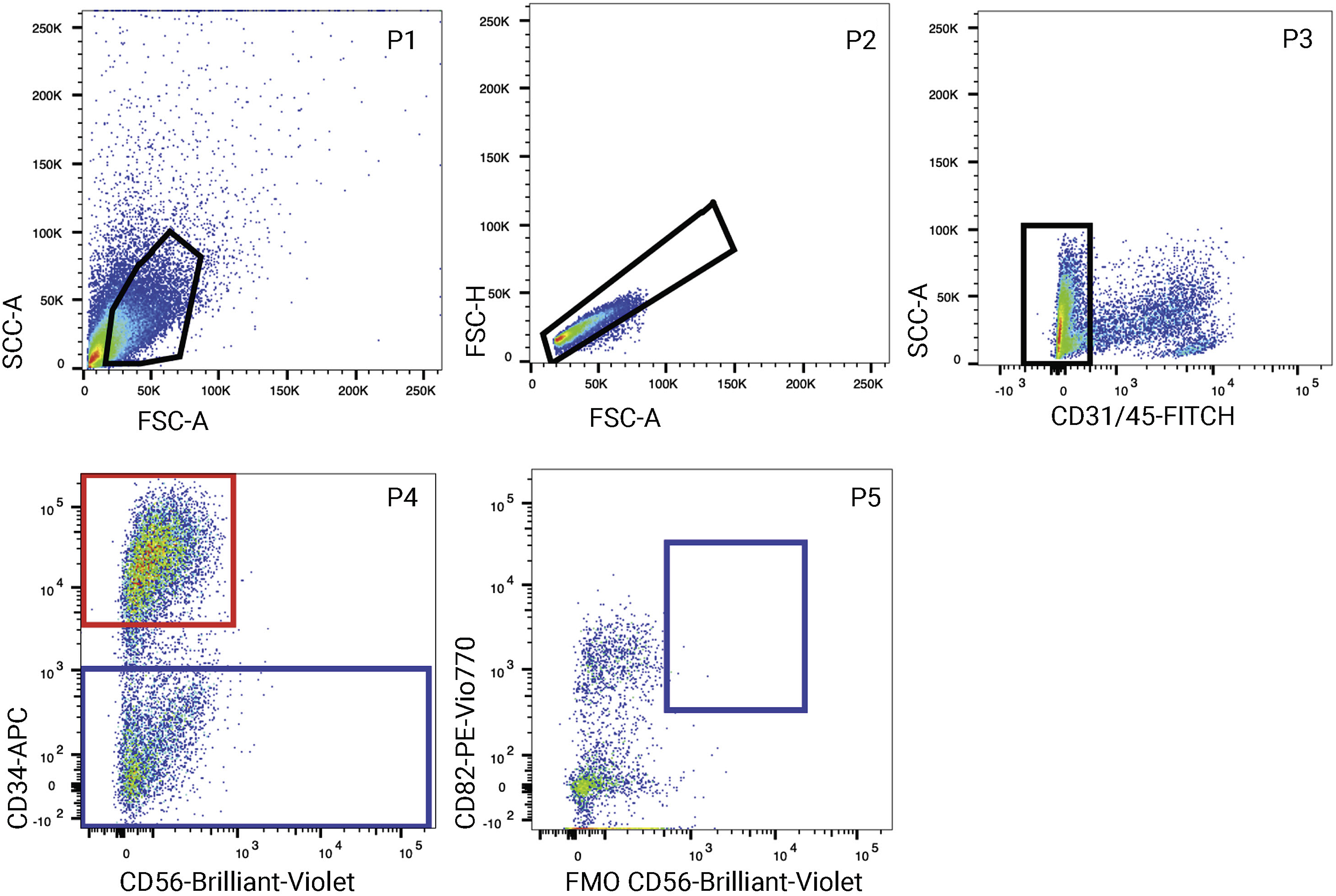 Cell Press: STAR Protocols