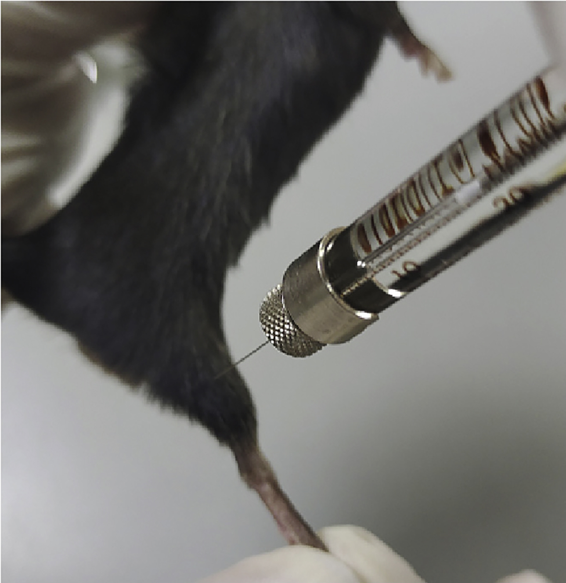 Cell Press: STAR Protocols