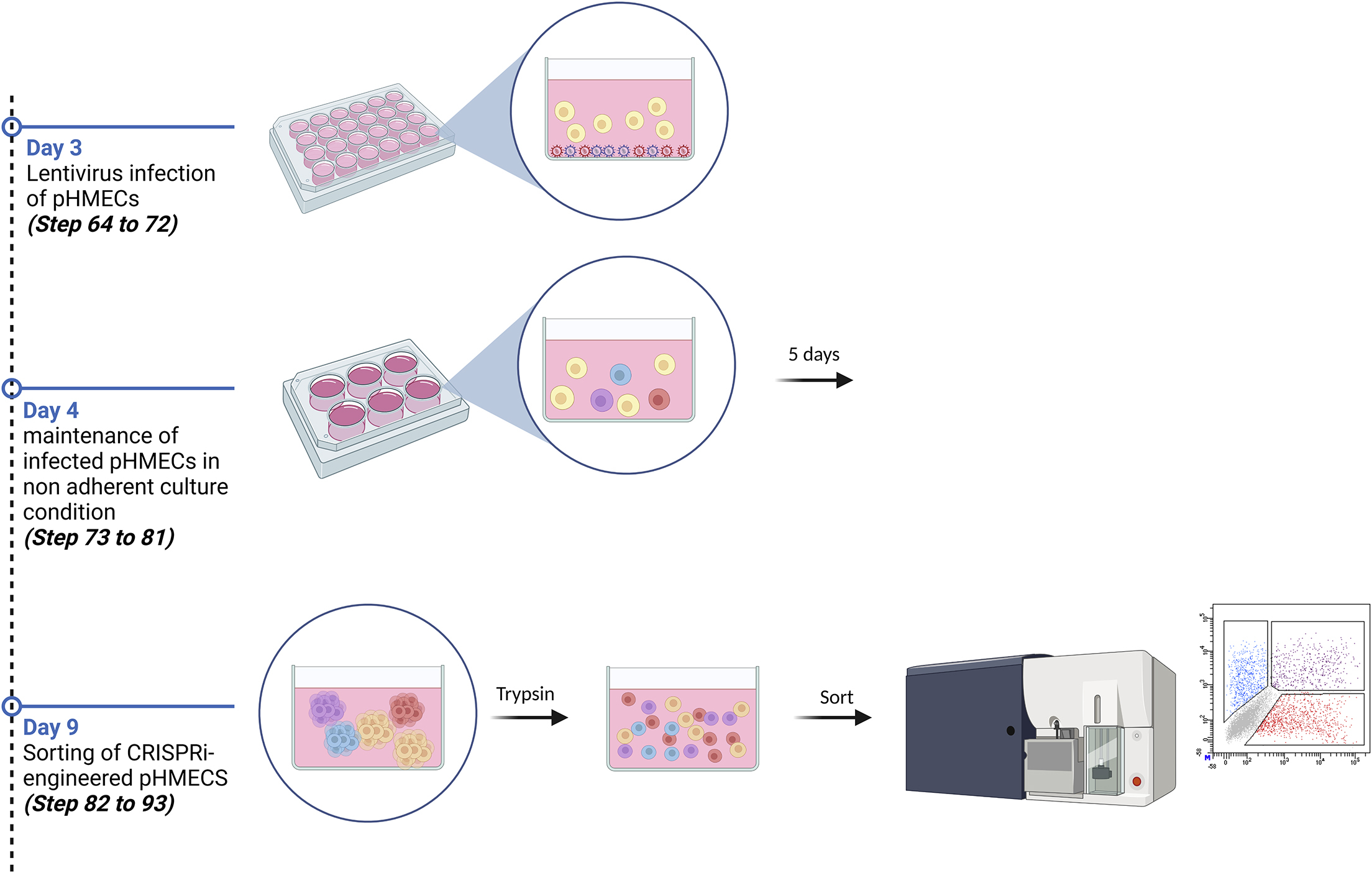 Cell Press STAR Protocols