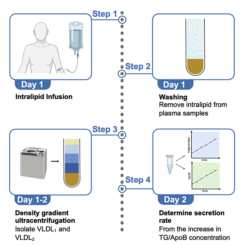 Cell Press STAR Protocols