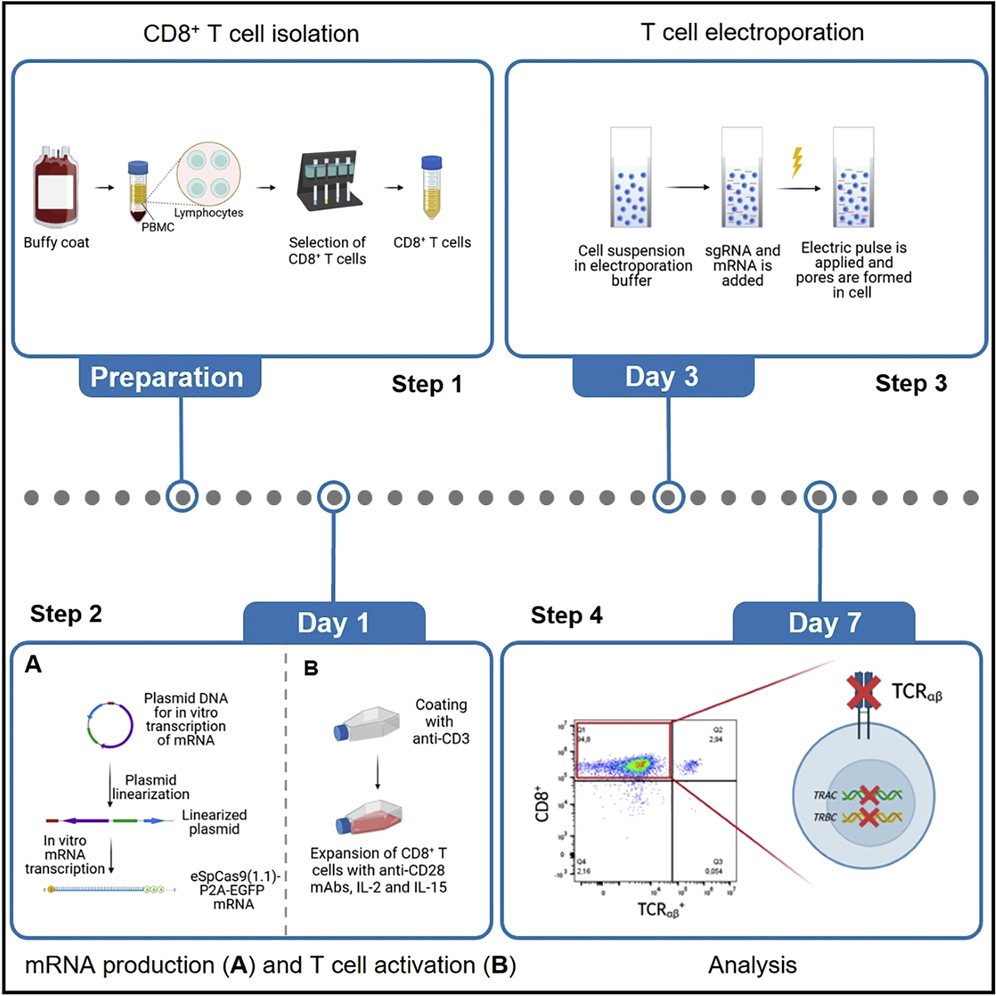 Cell Press: STAR Protocols