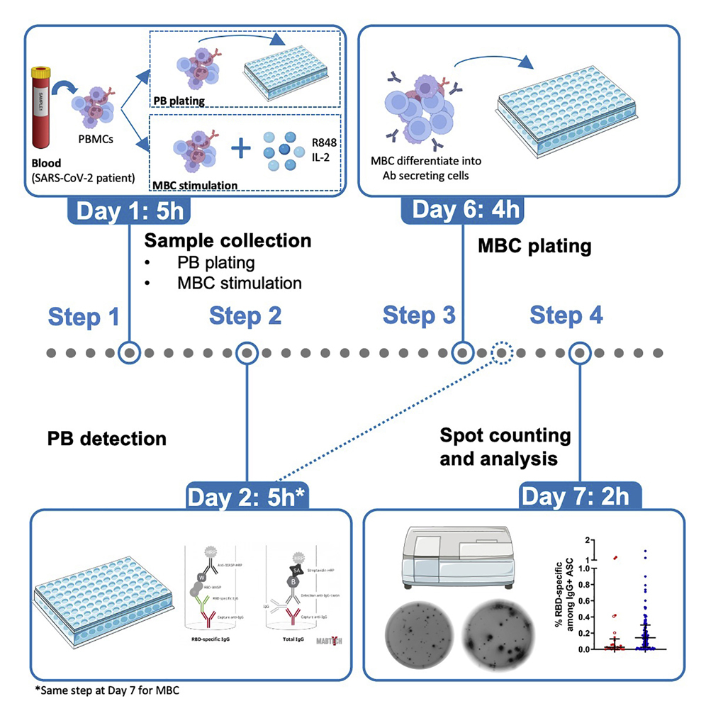 Cell Press: STAR Protocols