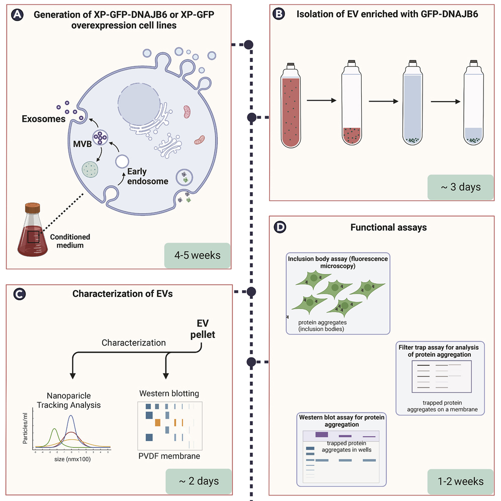 Cell Press STAR Protocols
