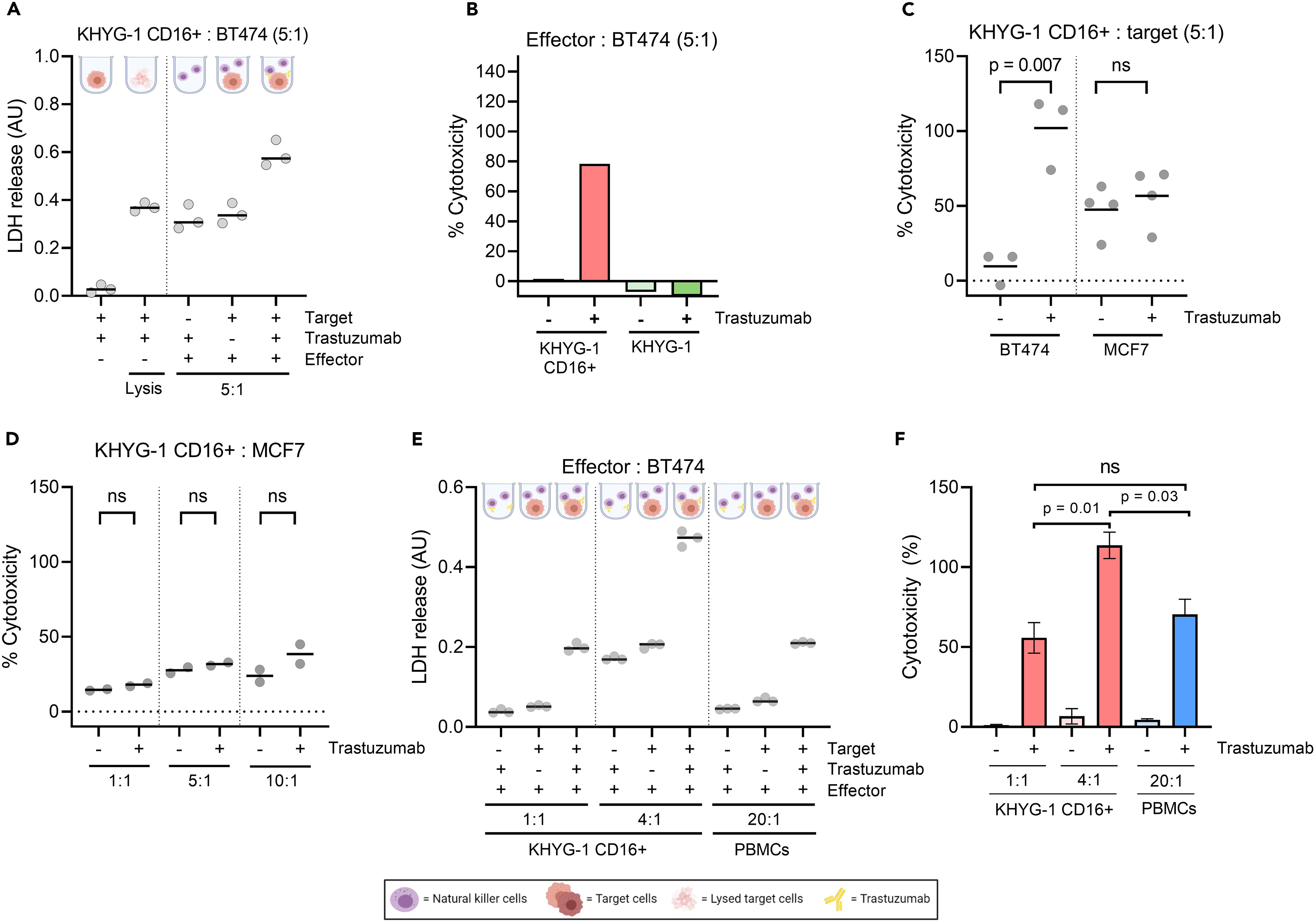 ＊91CRDPリキッドP35%配合1mlOGKUSH H4CBD CBN CBG A co-culture model system to quantify antibody-dependent