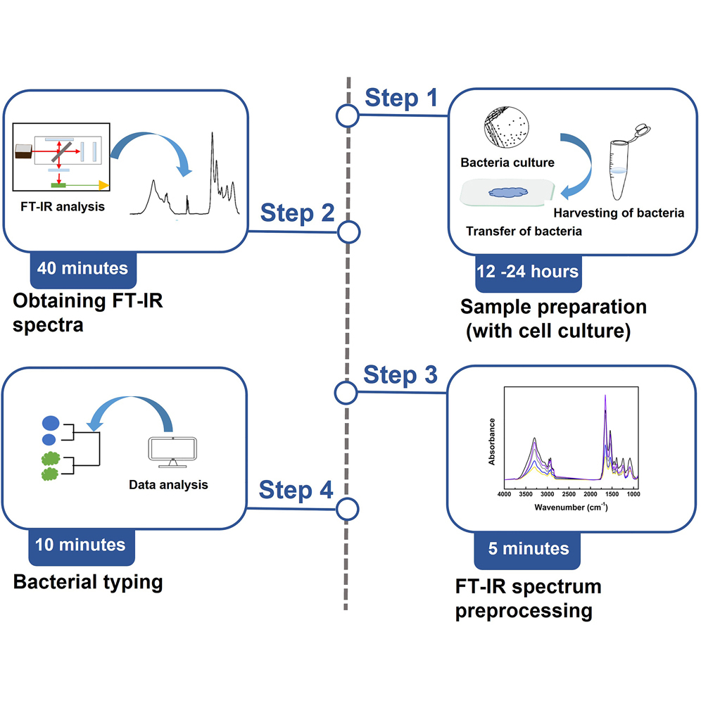 Cell Press: STAR Protocols