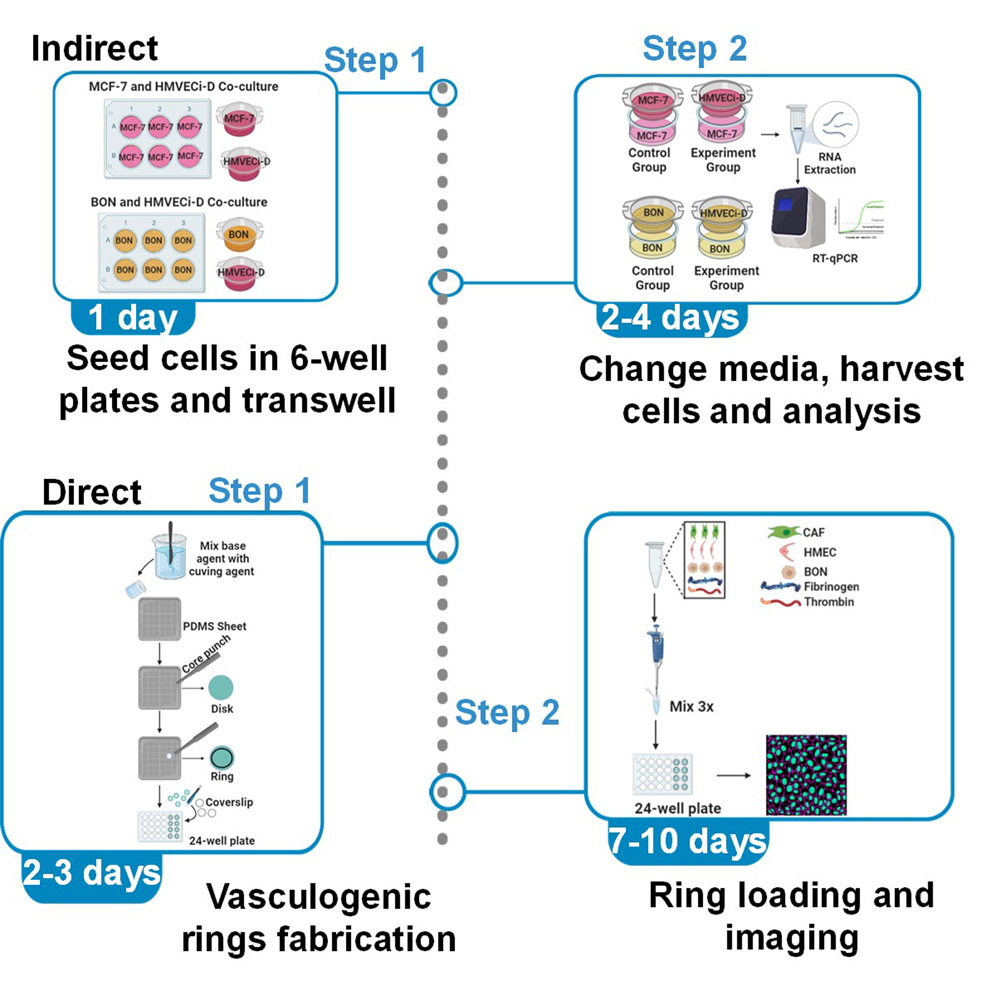 Cell Press Star Protocols