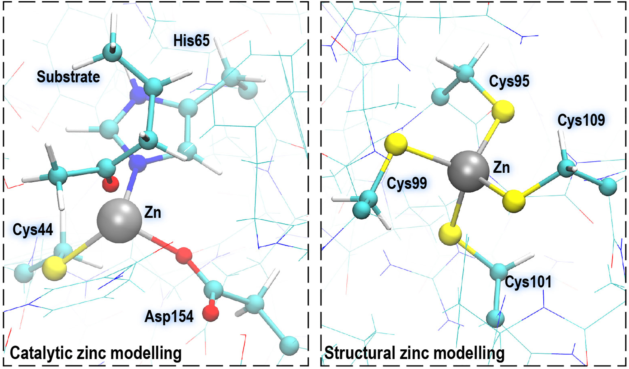 3d Visualizing Molecular Dynamics Simulation of CAS No. 104-95-0