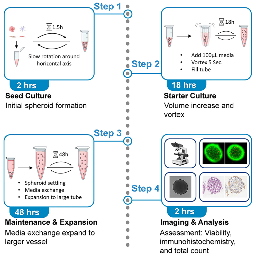 Cell Press: STAR Protocols