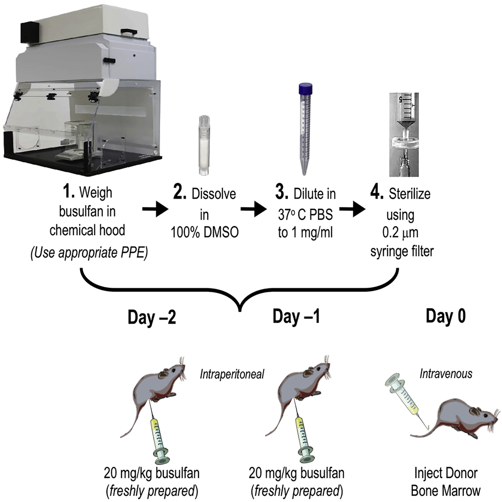 Cell Press STAR Protocols