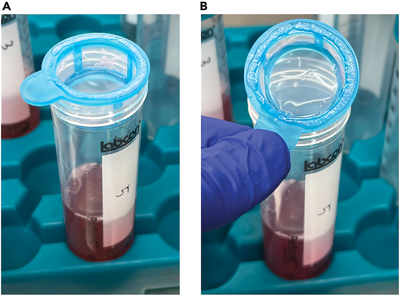 Cell Press STAR Protocols