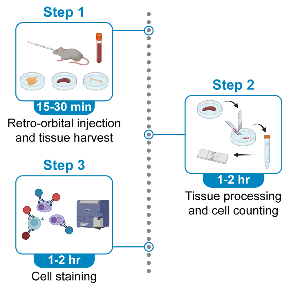Cell Press STAR Protocols
