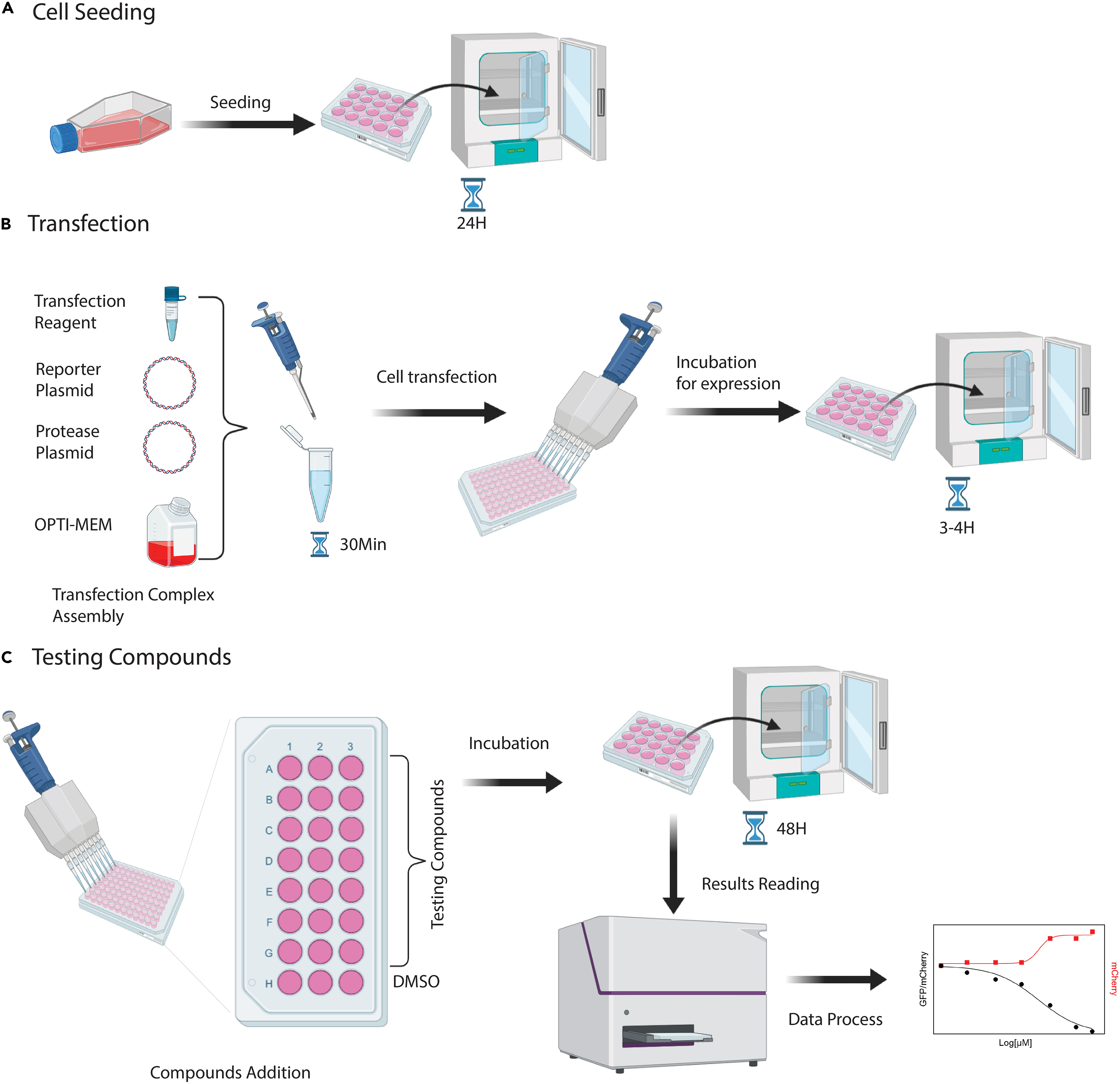 Cell Press: STAR Protocols