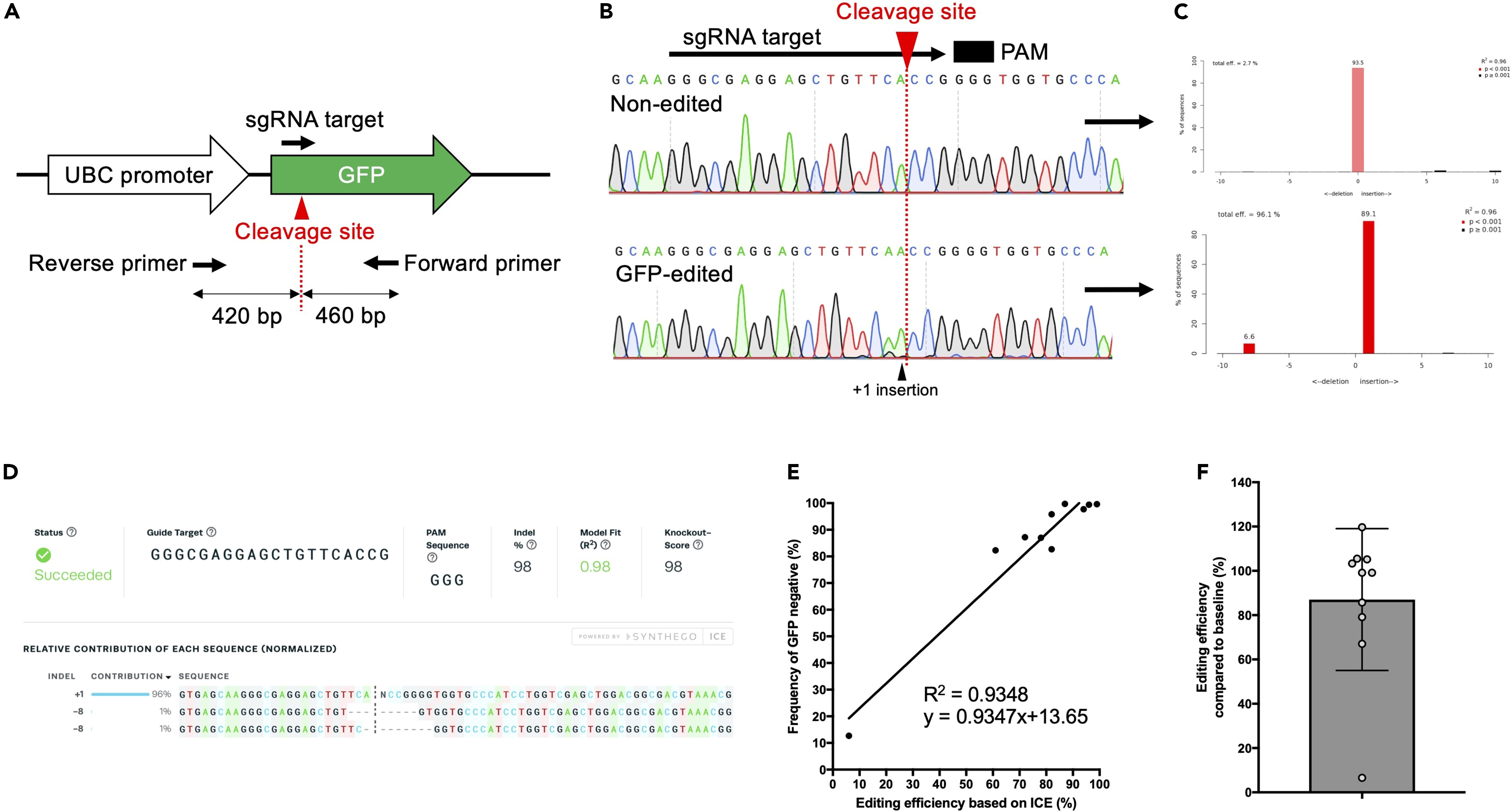 Cell Press: STAR Protocols