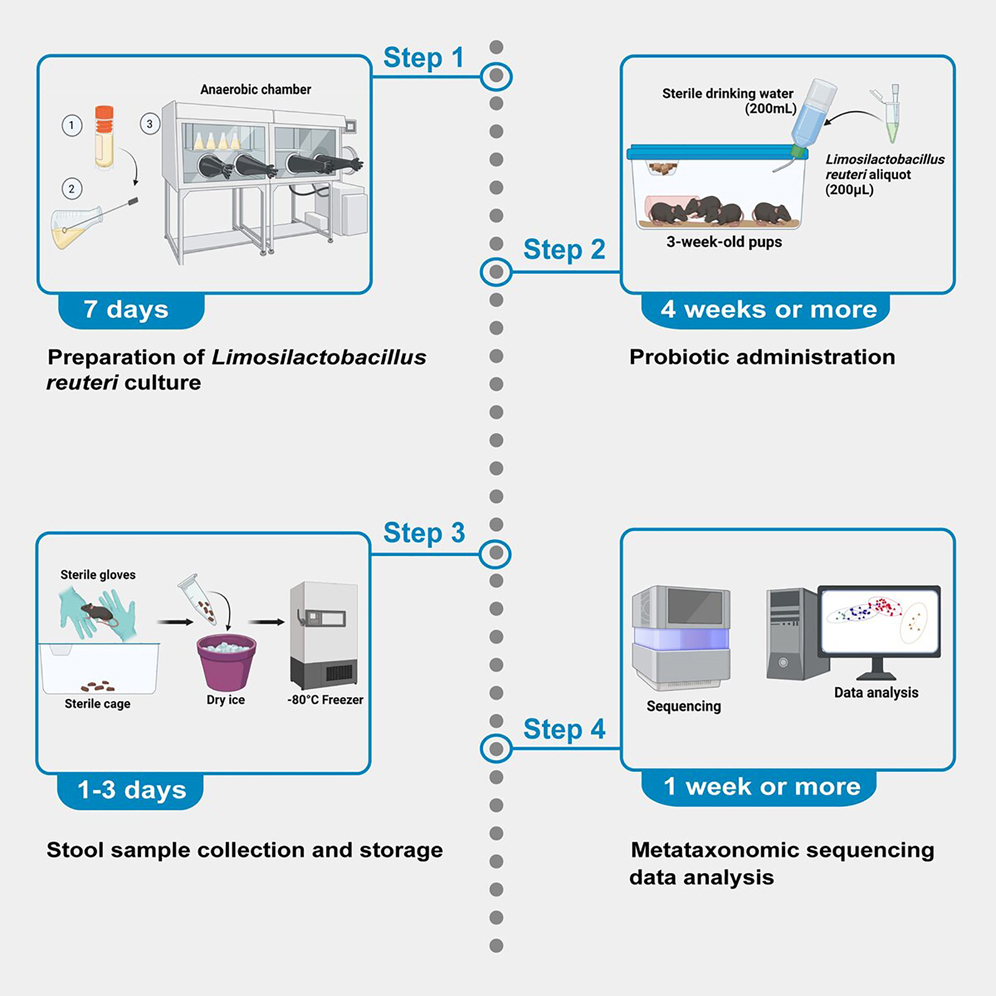 Cell Press Star Protocols