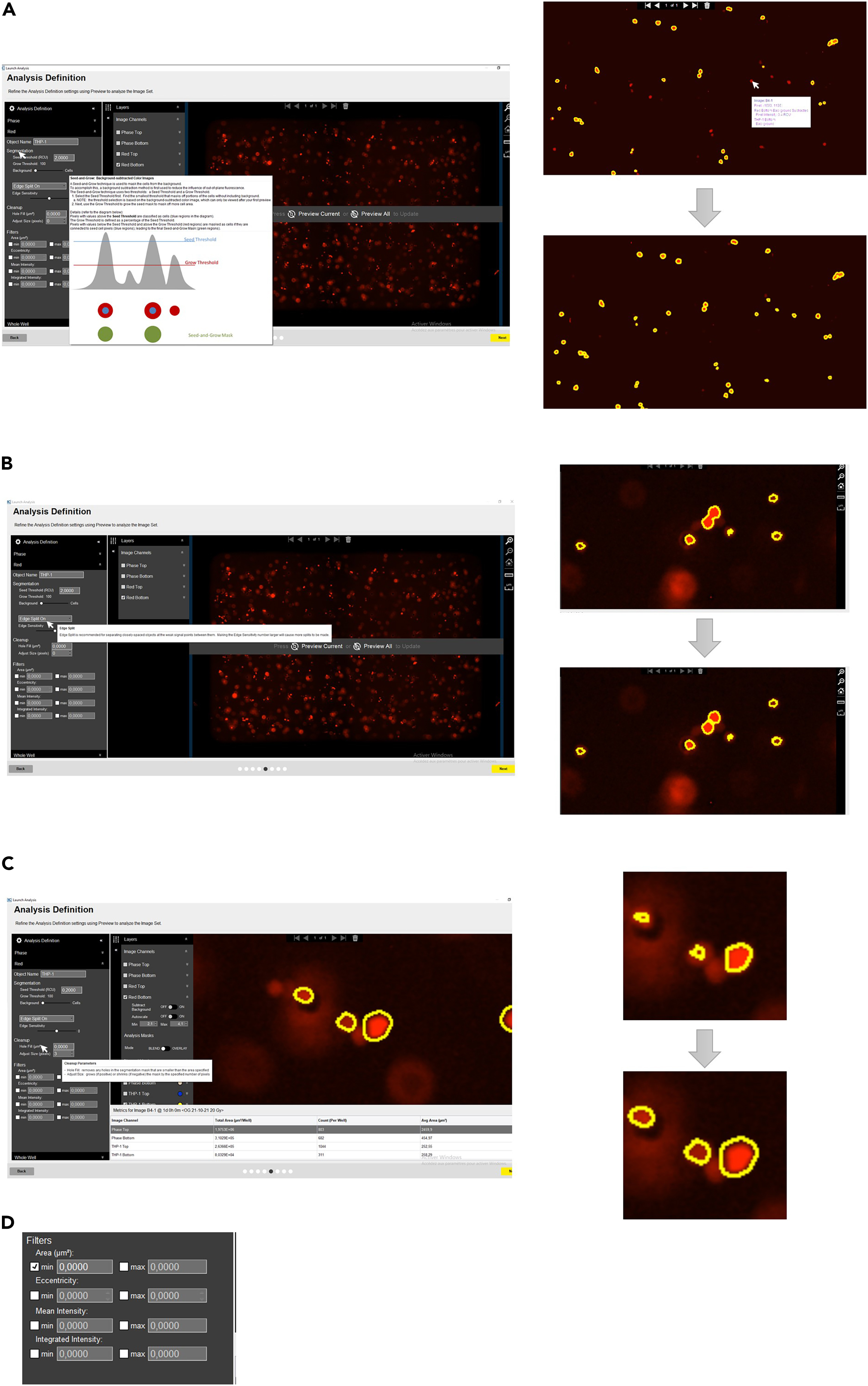 Protocol for in vitro assessment of human monocyte
