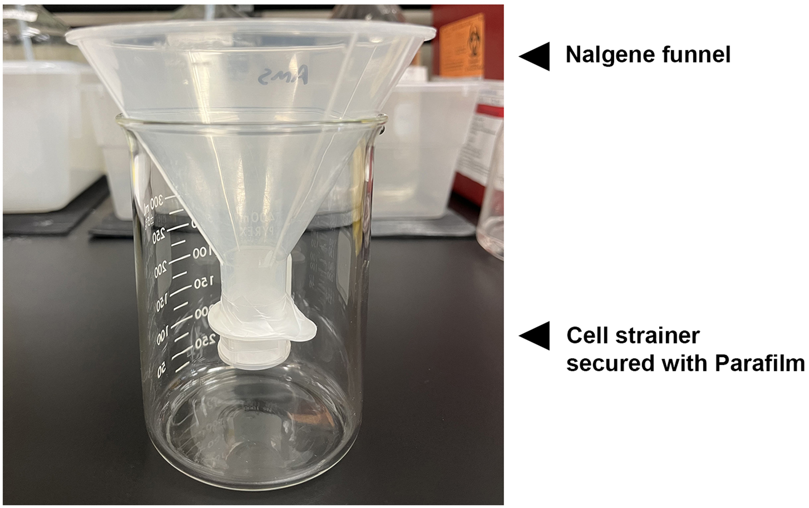 Cell Press STAR Protocols