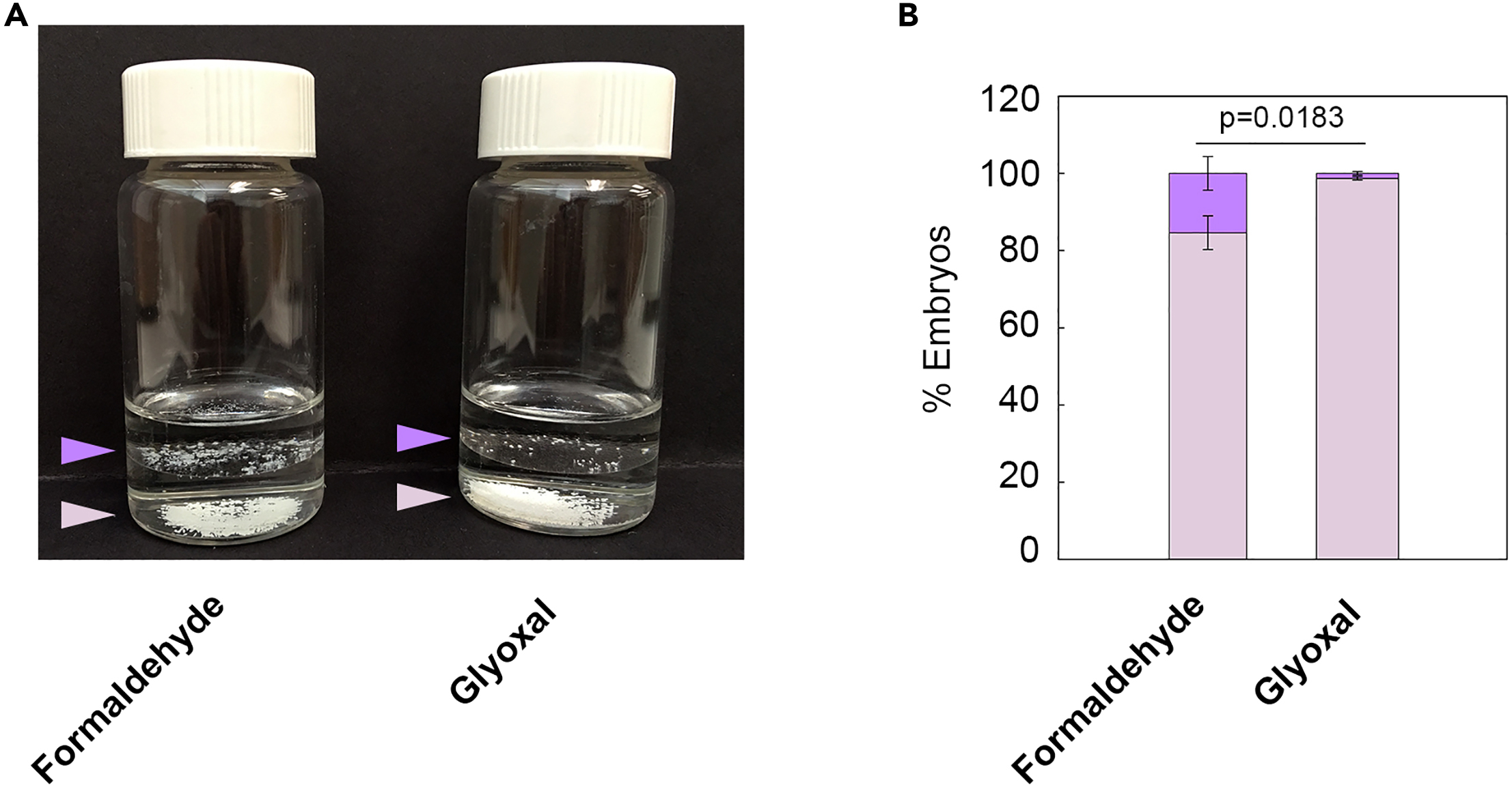 Cell Press STAR Protocols