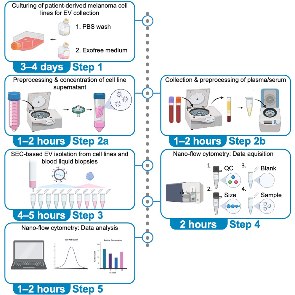 Cell Press STAR Protocols