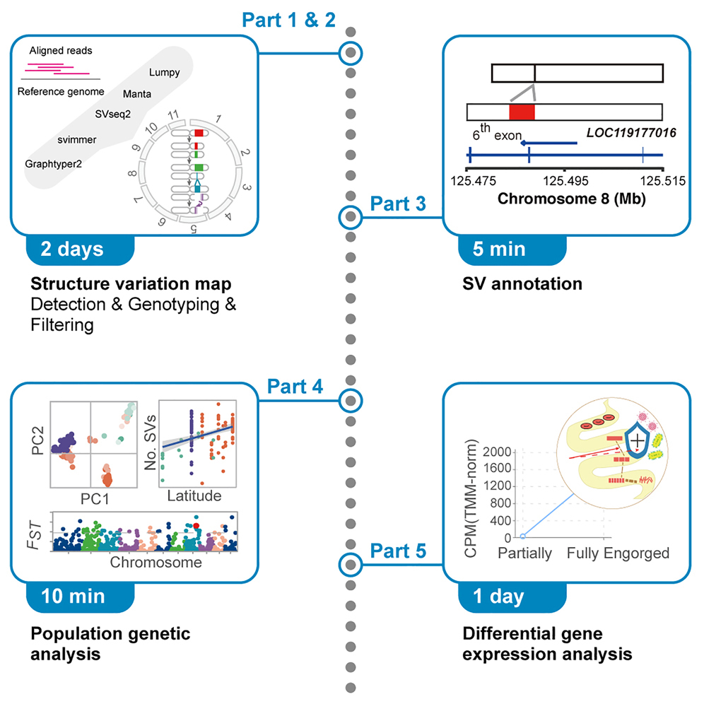 A protocol for applying low-coverage whole-genome sequencing data