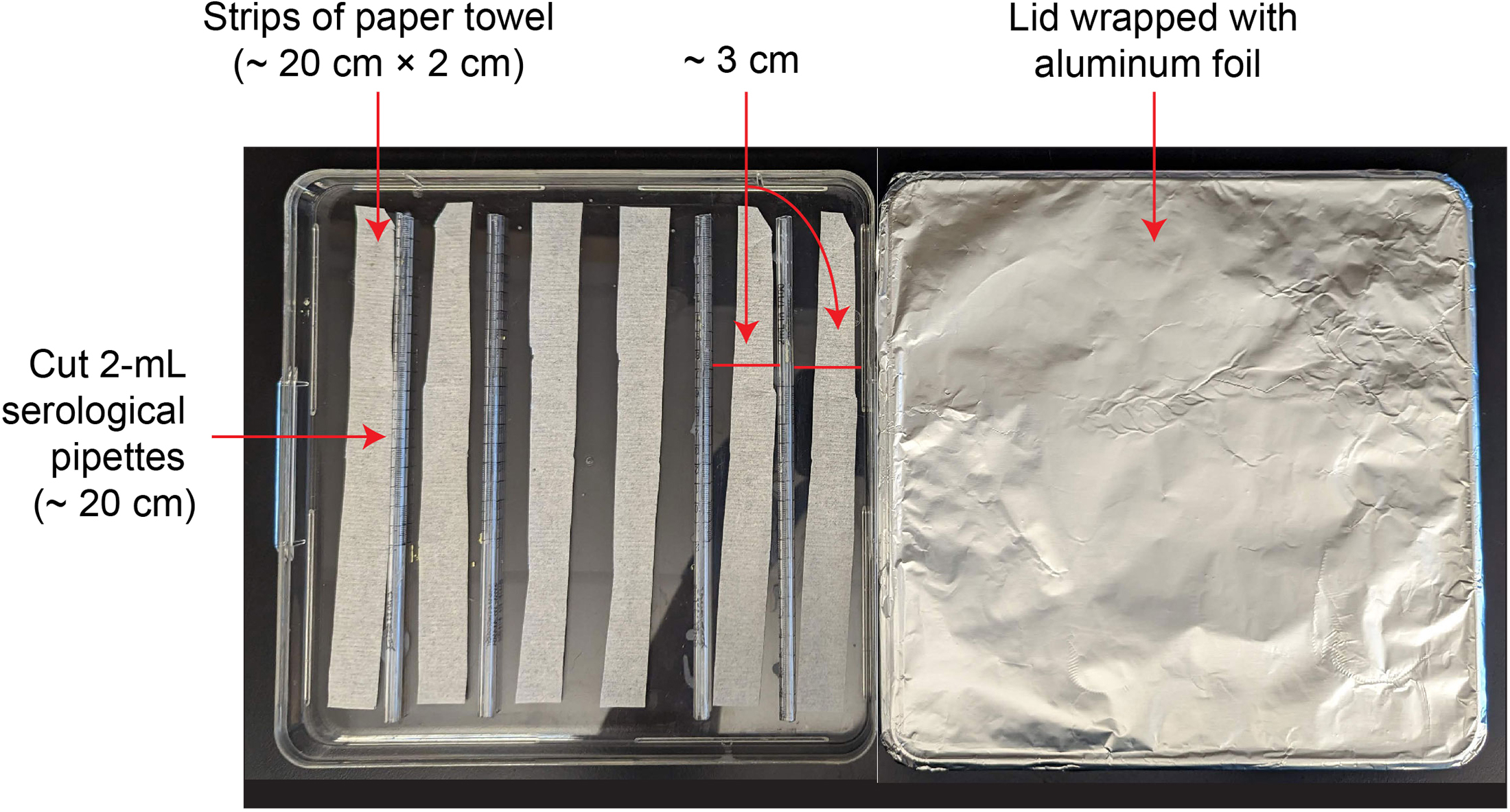 Fisherbrand Aluminum Foil, Standard-Gauge Roll:Film and Foil Wrapping and