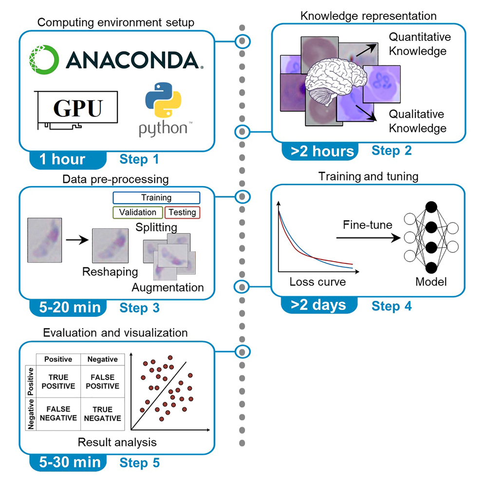 Cell Press: STAR Protocols