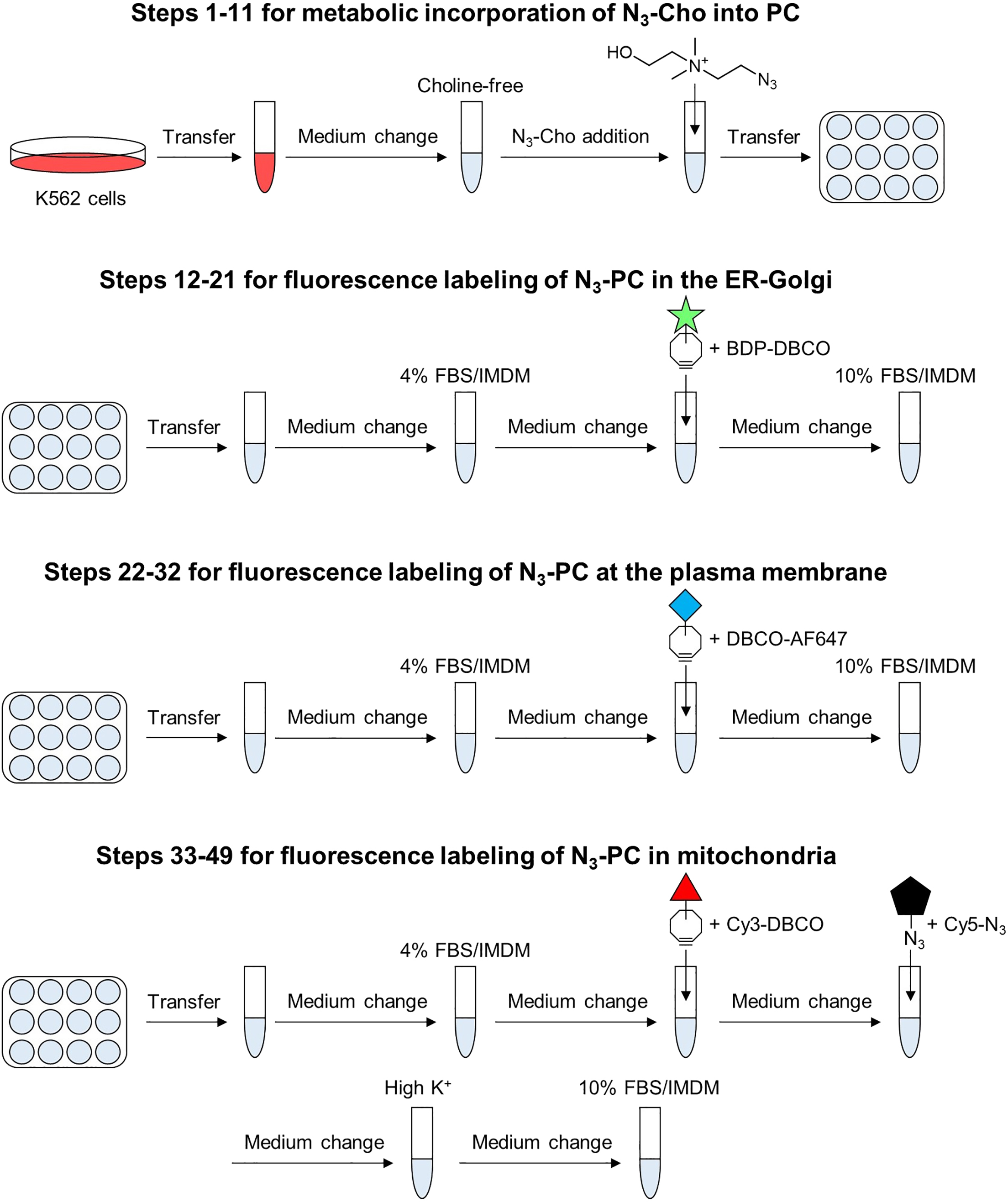 Cell Press STAR Protocols