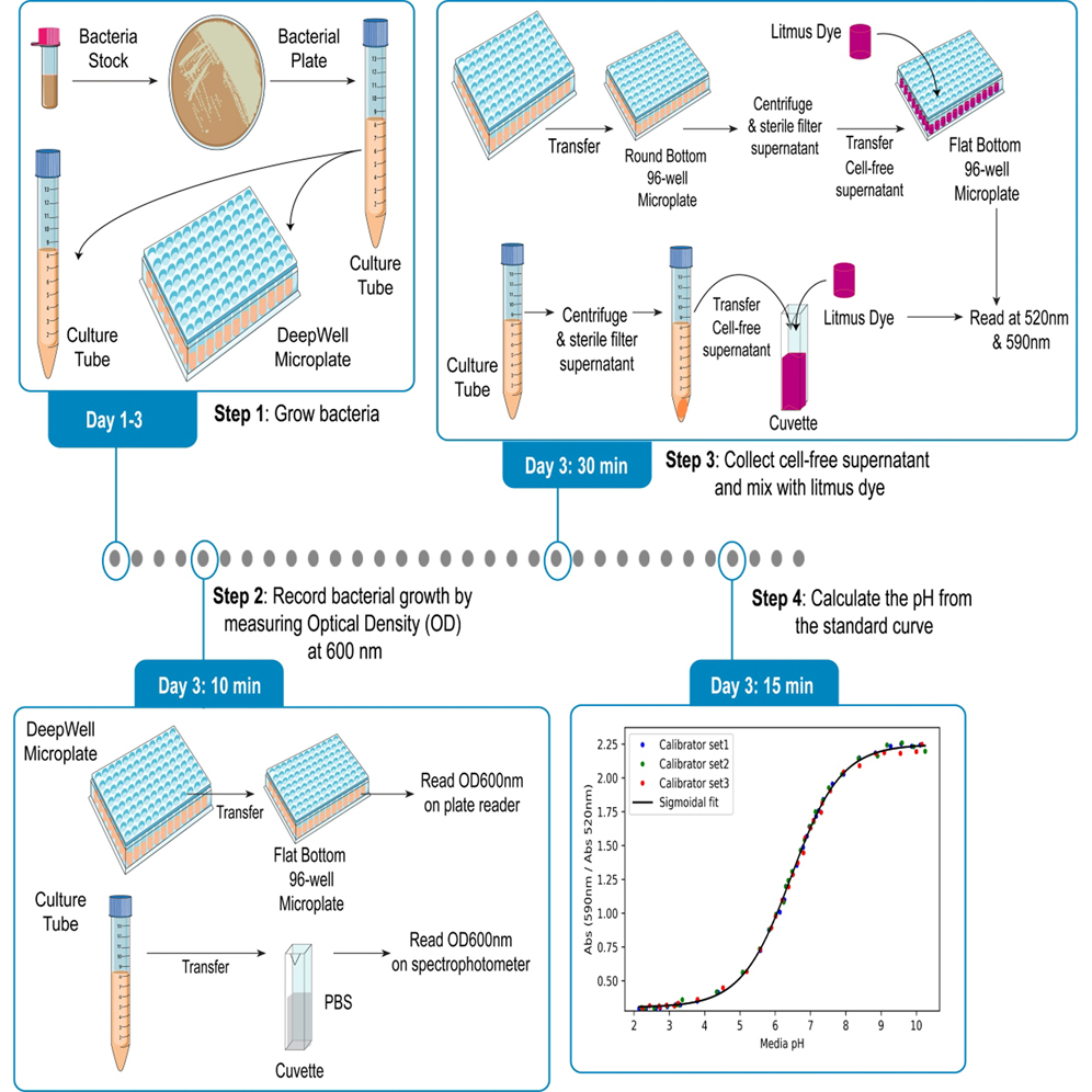 Cell Press: STAR Protocols