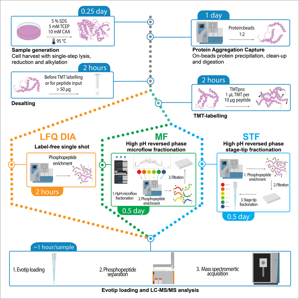 Cell Press: STAR Protocols