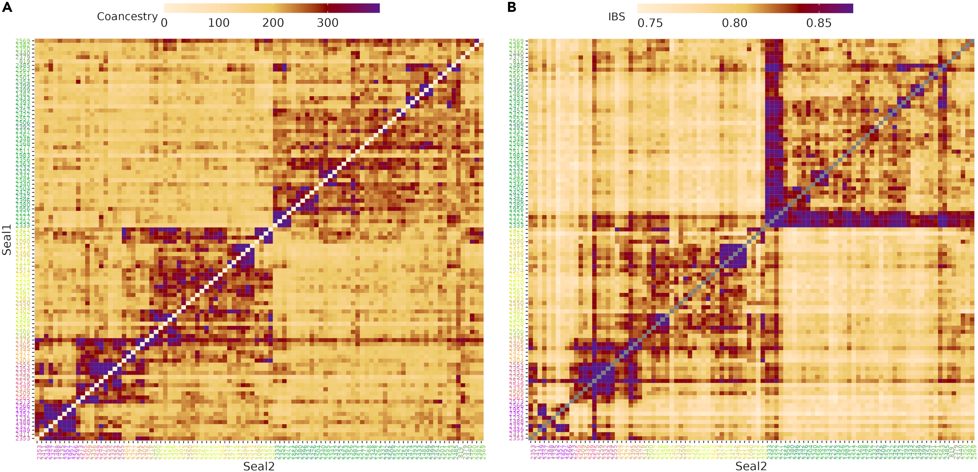 Analysis of population structure and genetic diversity in low