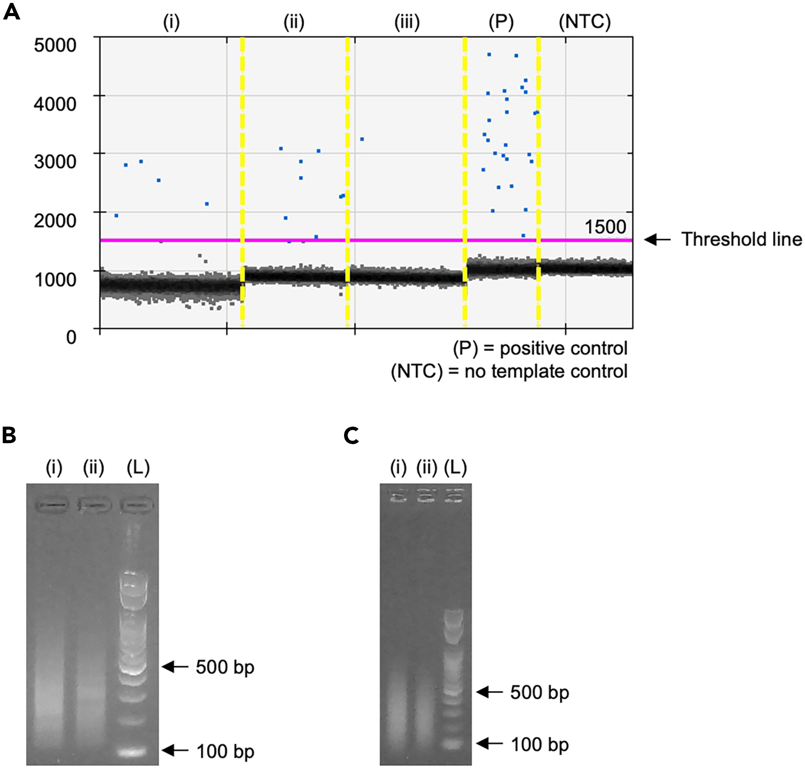 Cell Press: STAR Protocols