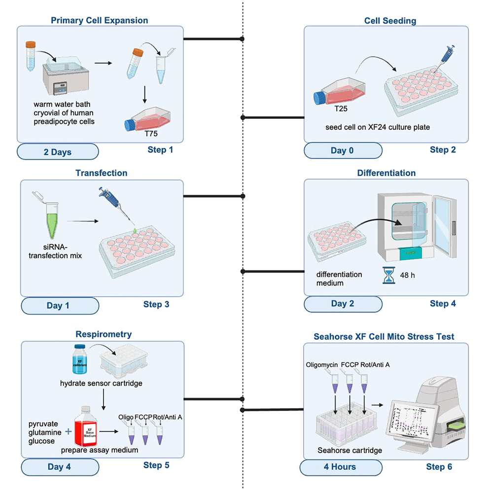 Cell Press: STAR Protocols