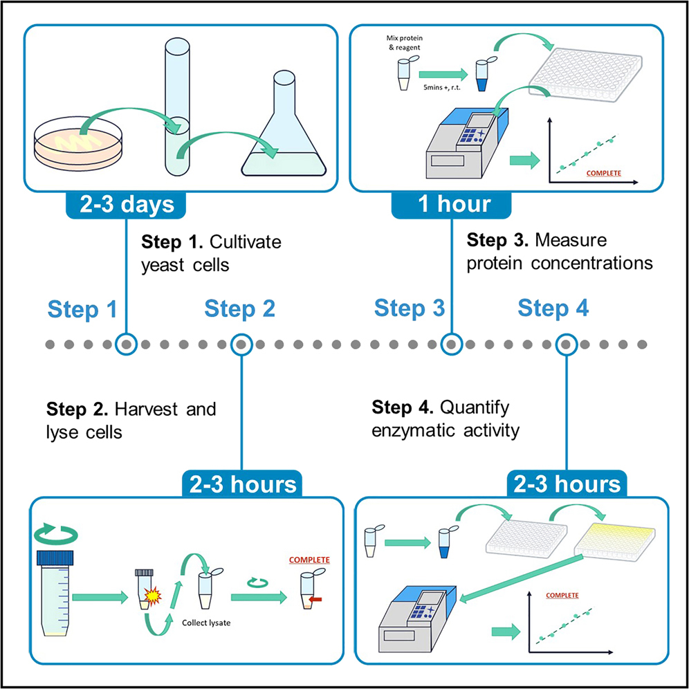 Cell Press STAR Protocols