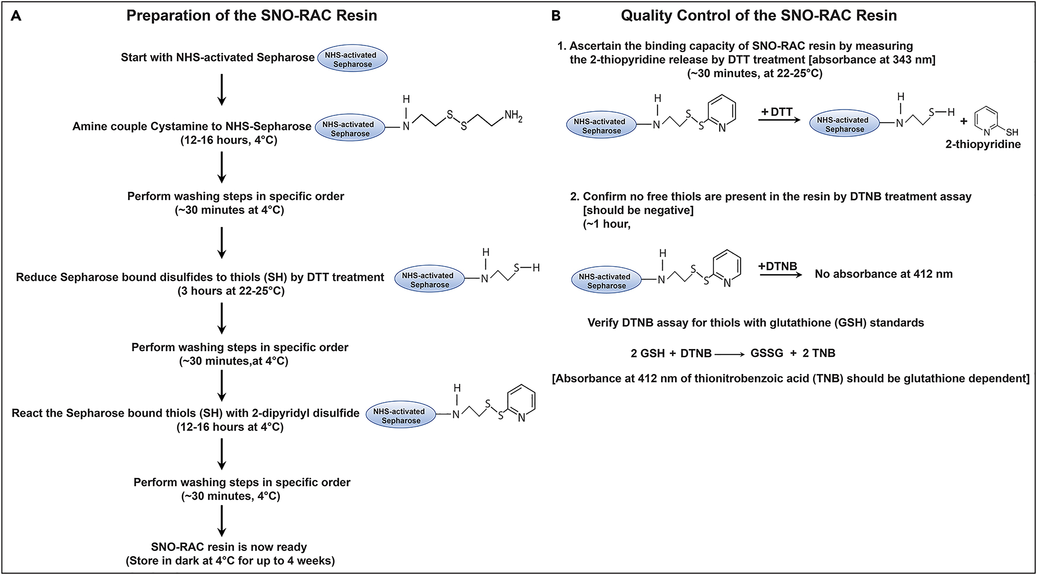 Cell Press STAR Protocols
