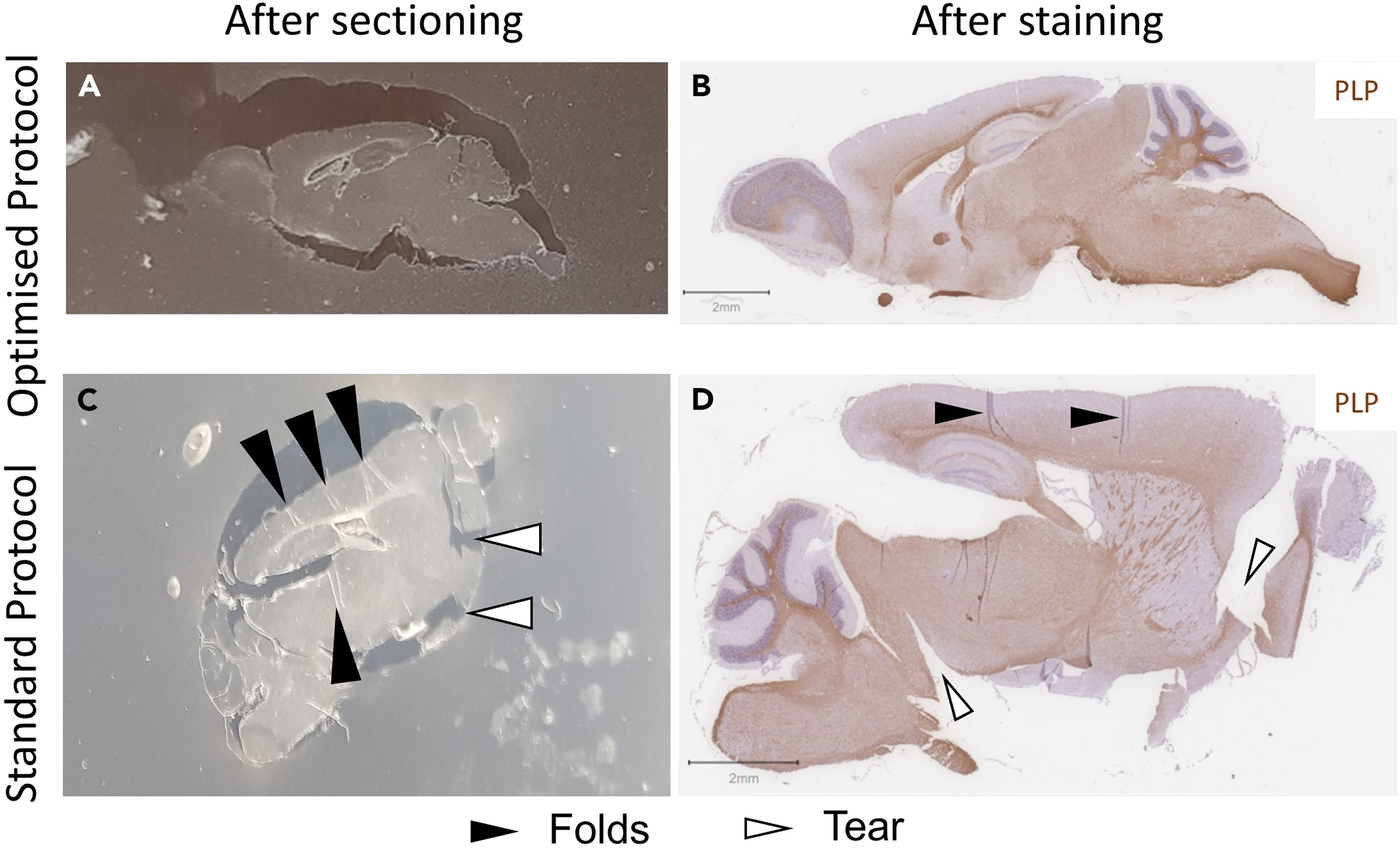 Cell Press STAR Protocols