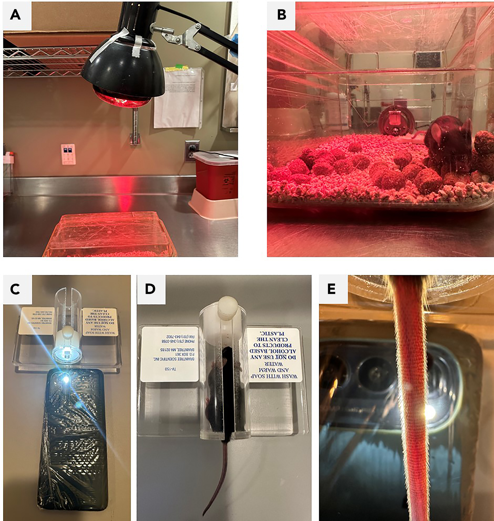 Cell Press STAR Protocols