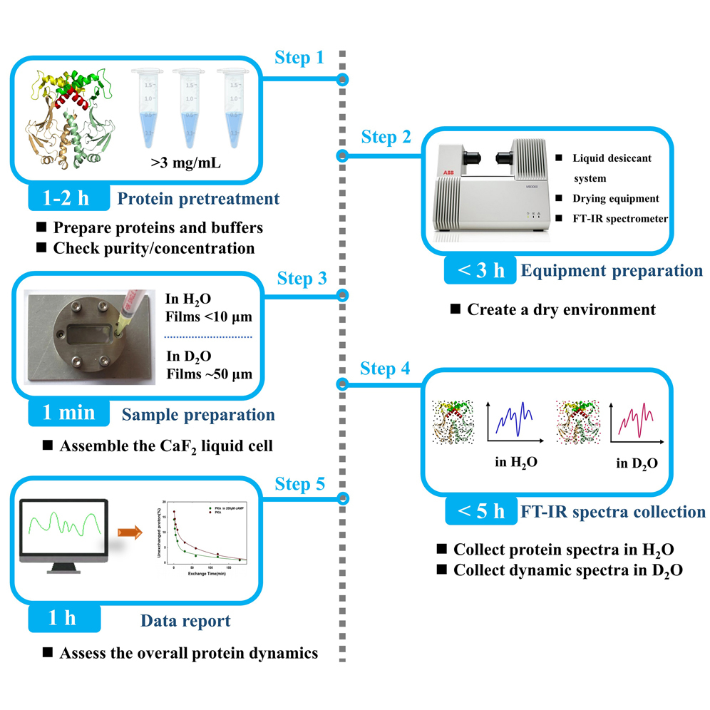 Cell Press: STAR Protocols
