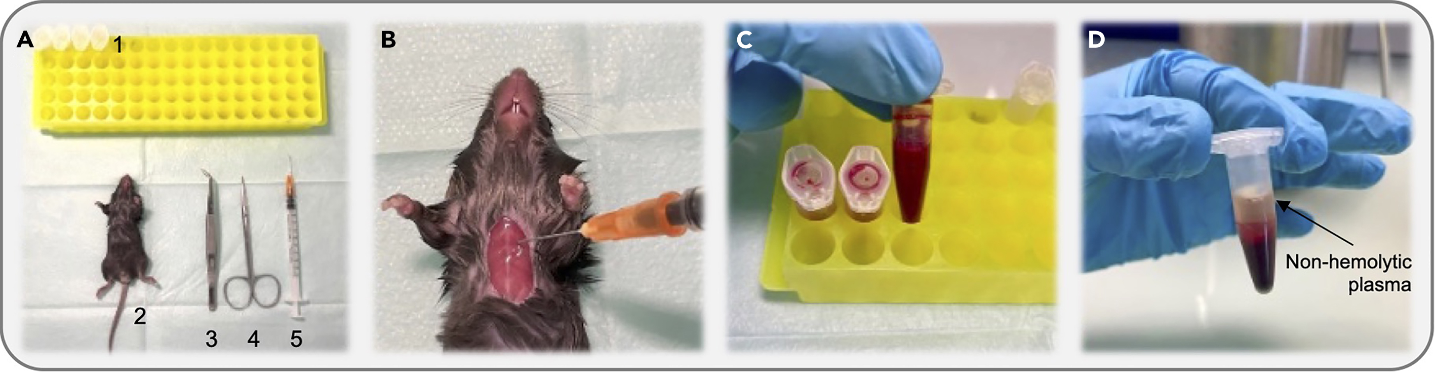 Cell Press: STAR Protocols