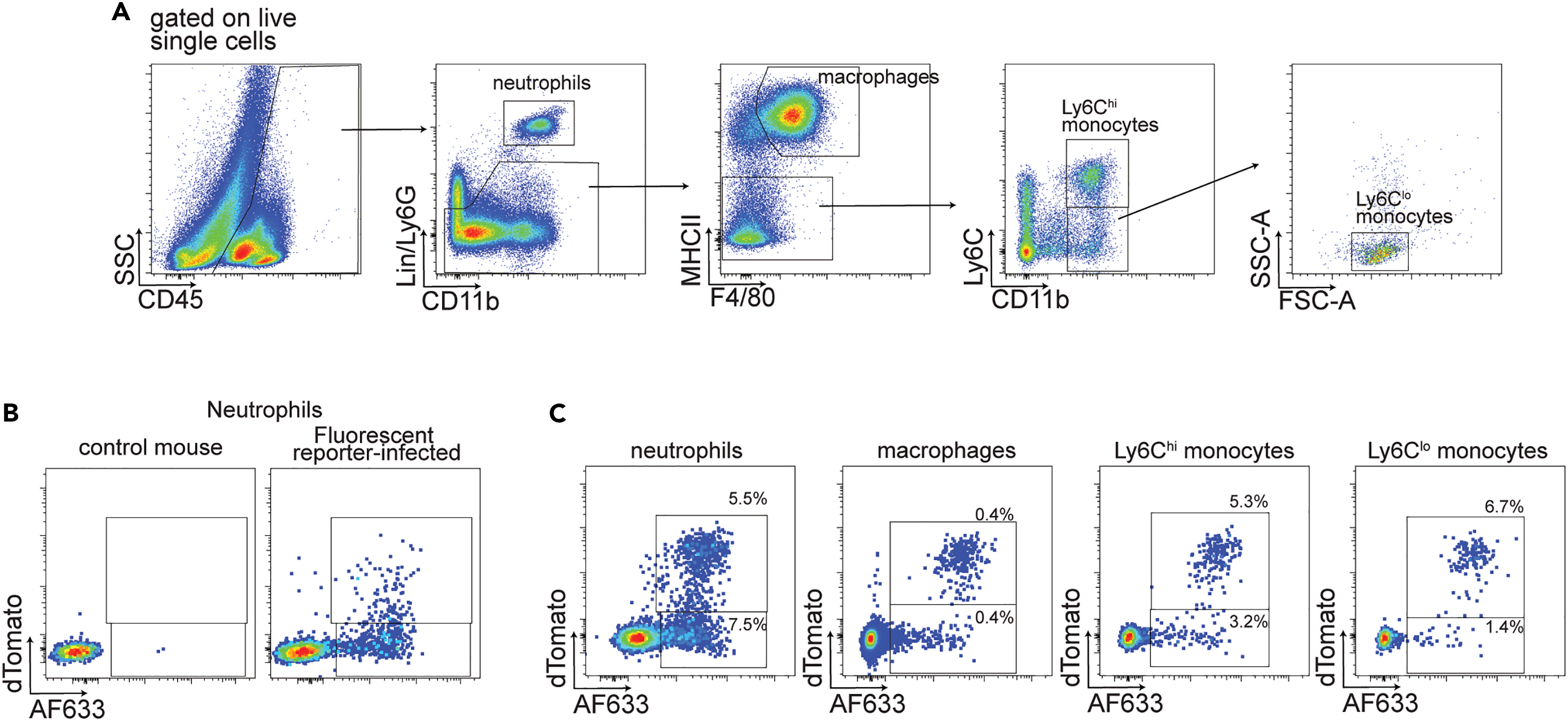 Cell Press: STAR Protocols