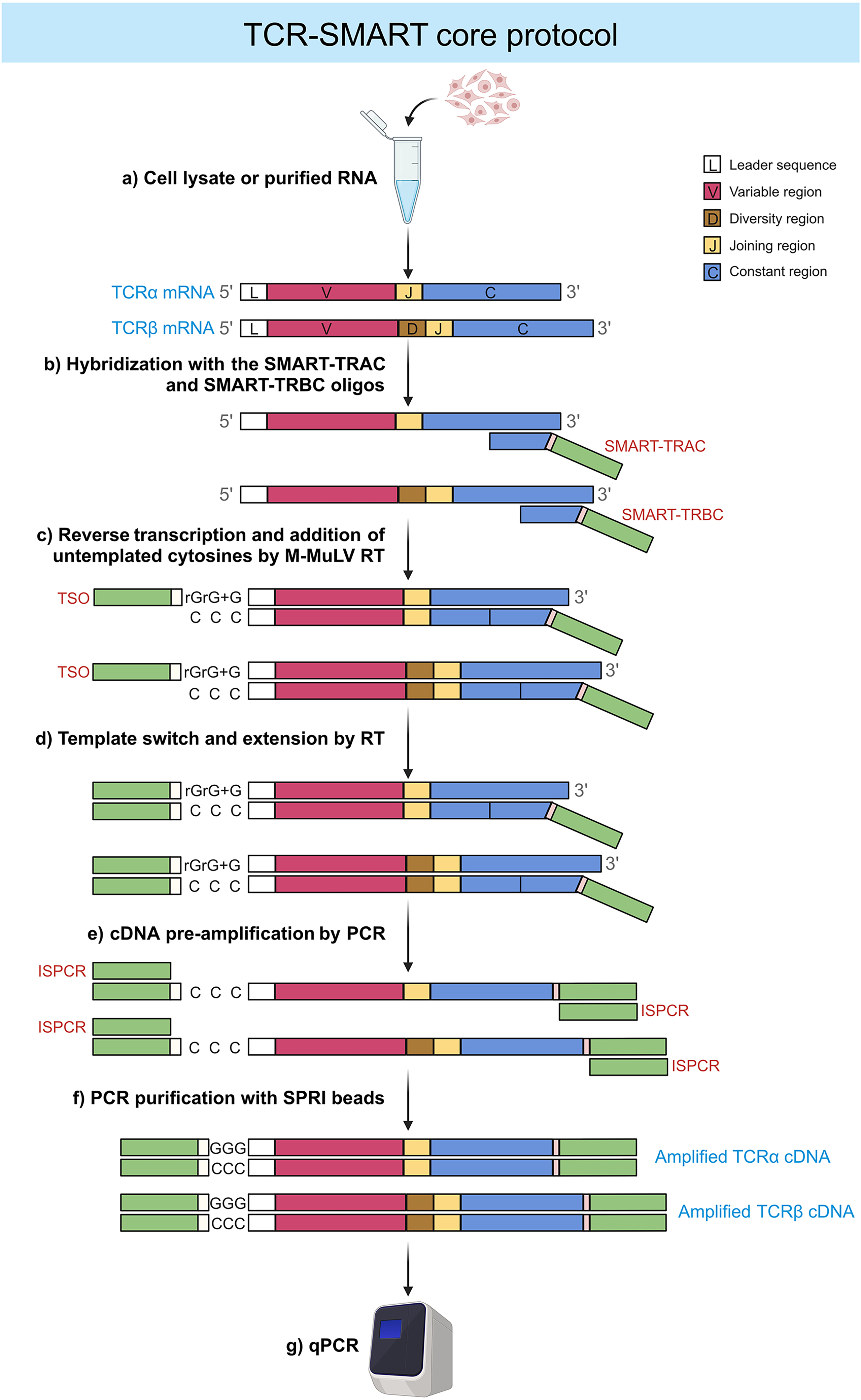 Cell Press: STAR Protocols