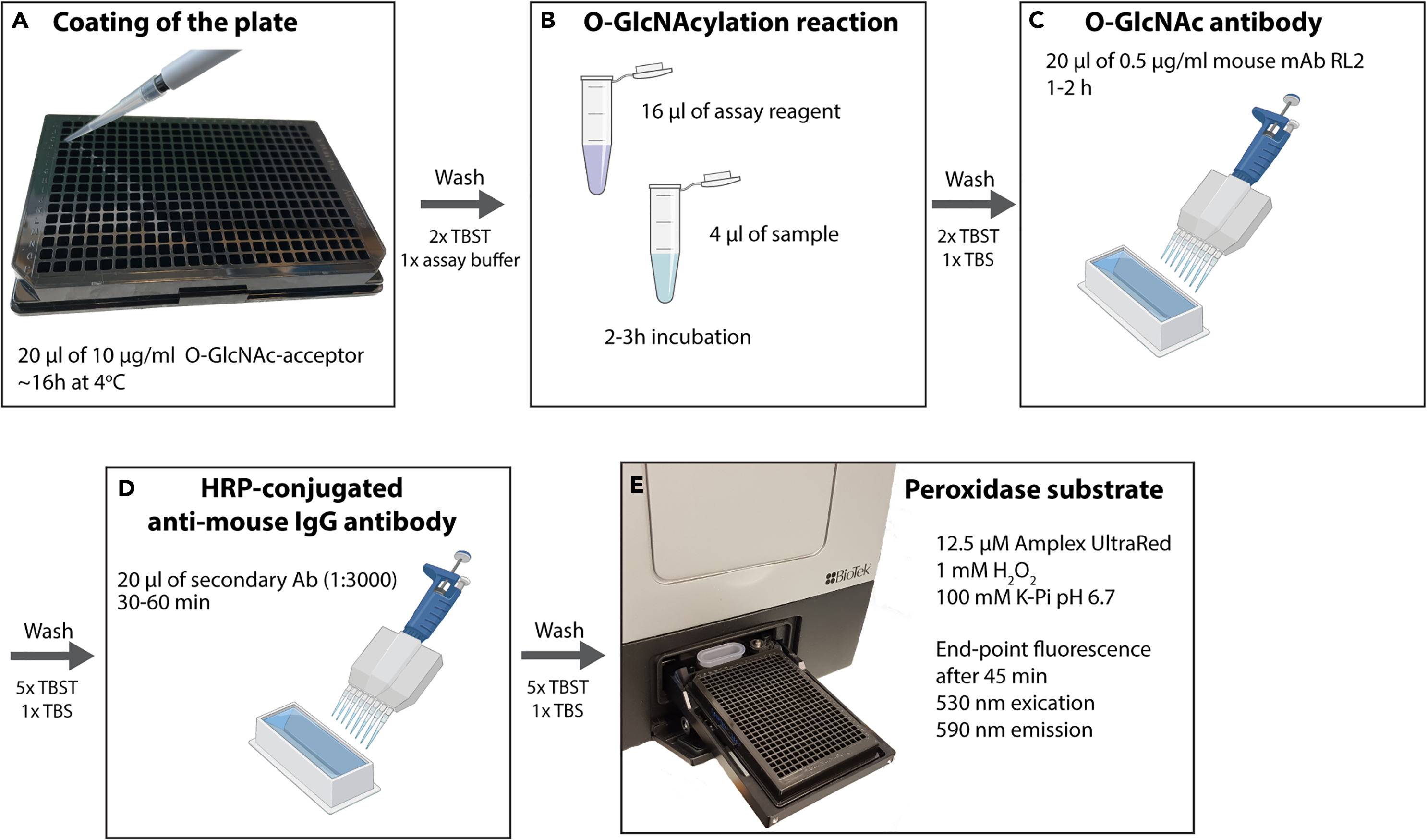 Cell Press STAR Protocols