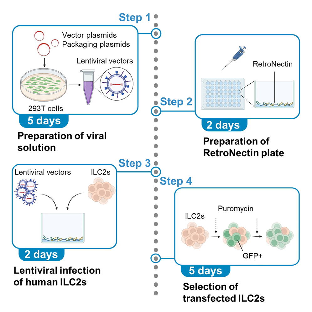 Cell Press: STAR Protocols