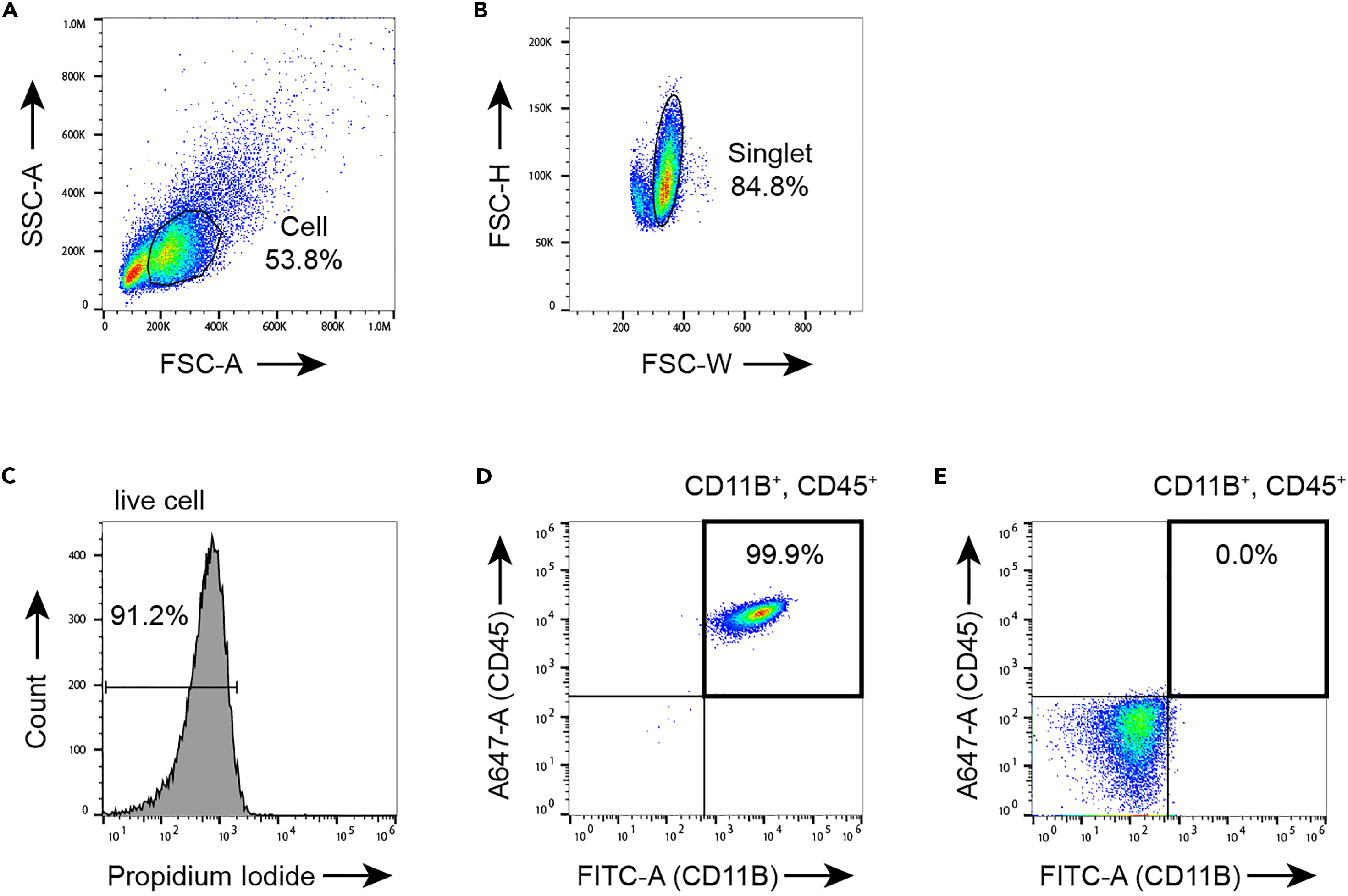 Cell Press: STAR Protocols