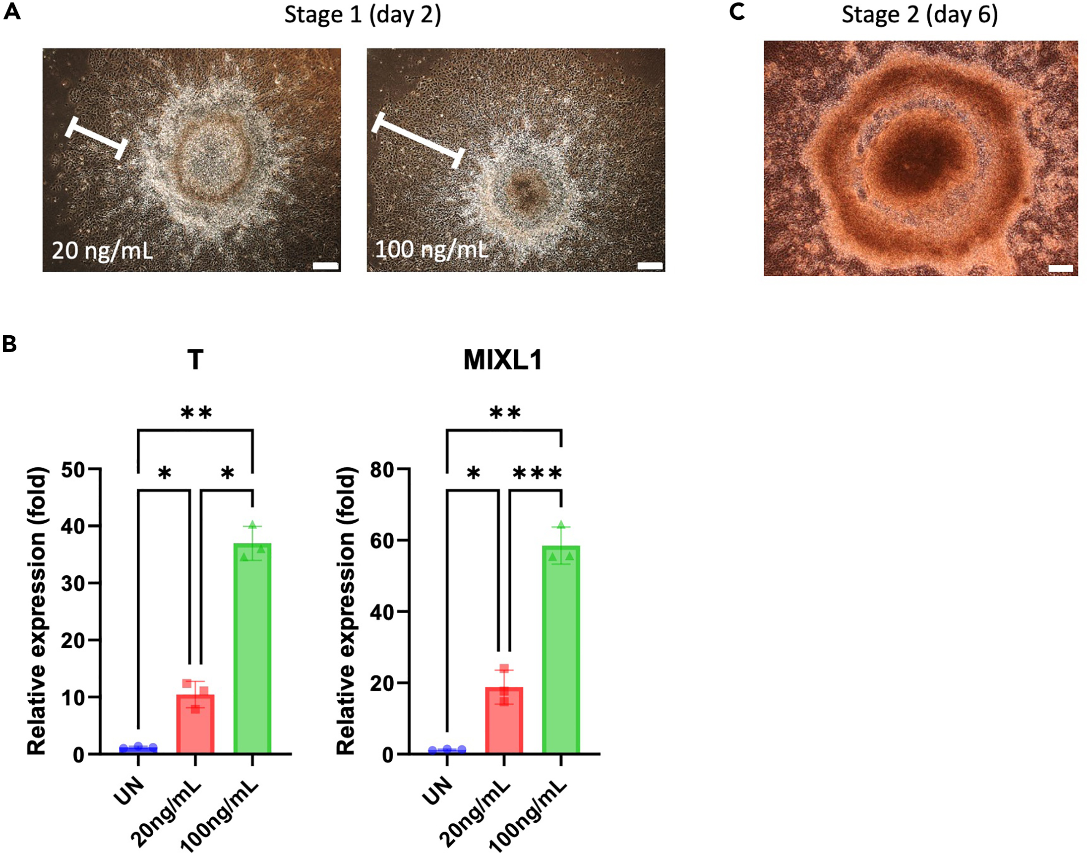 Cell Press: STAR Protocols