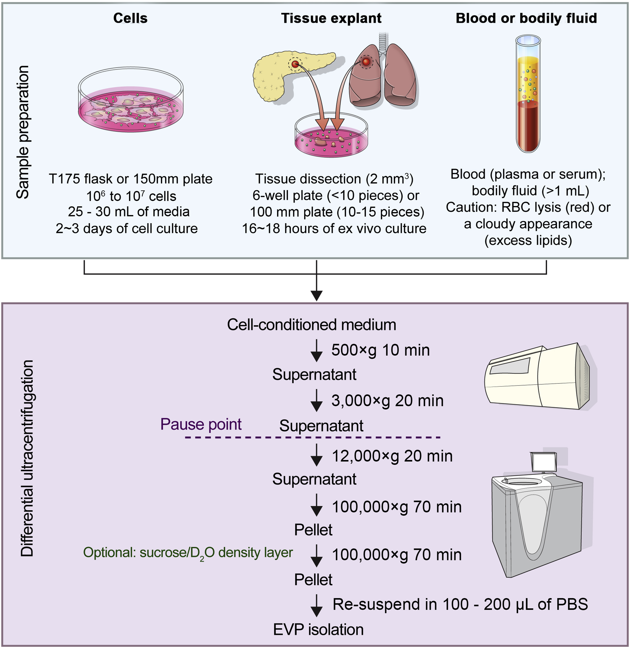 Cell Press STAR Protocols