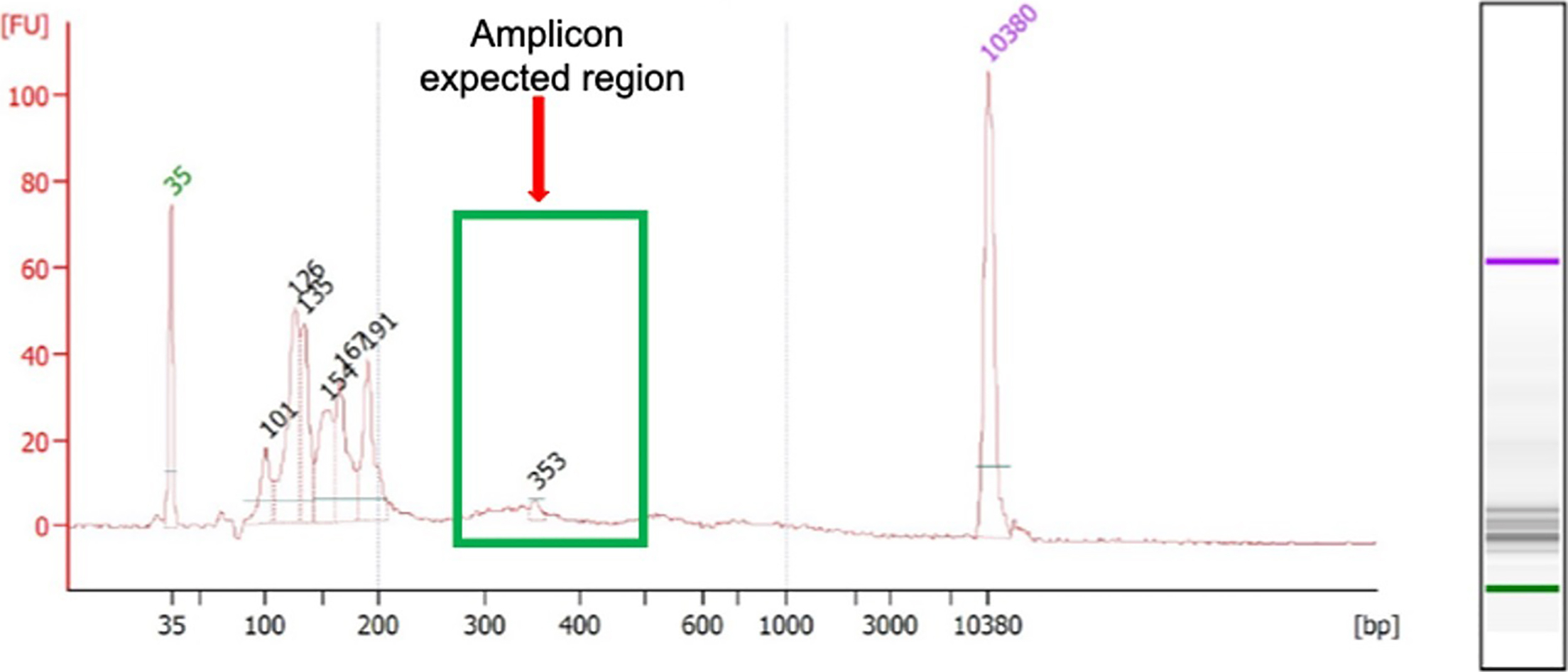 Cell Press STAR Protocols