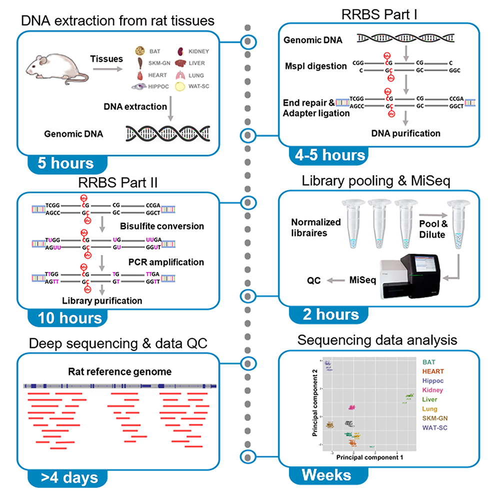 Step-by-Step Instructions on How to Design Primers for Your Experiments ...