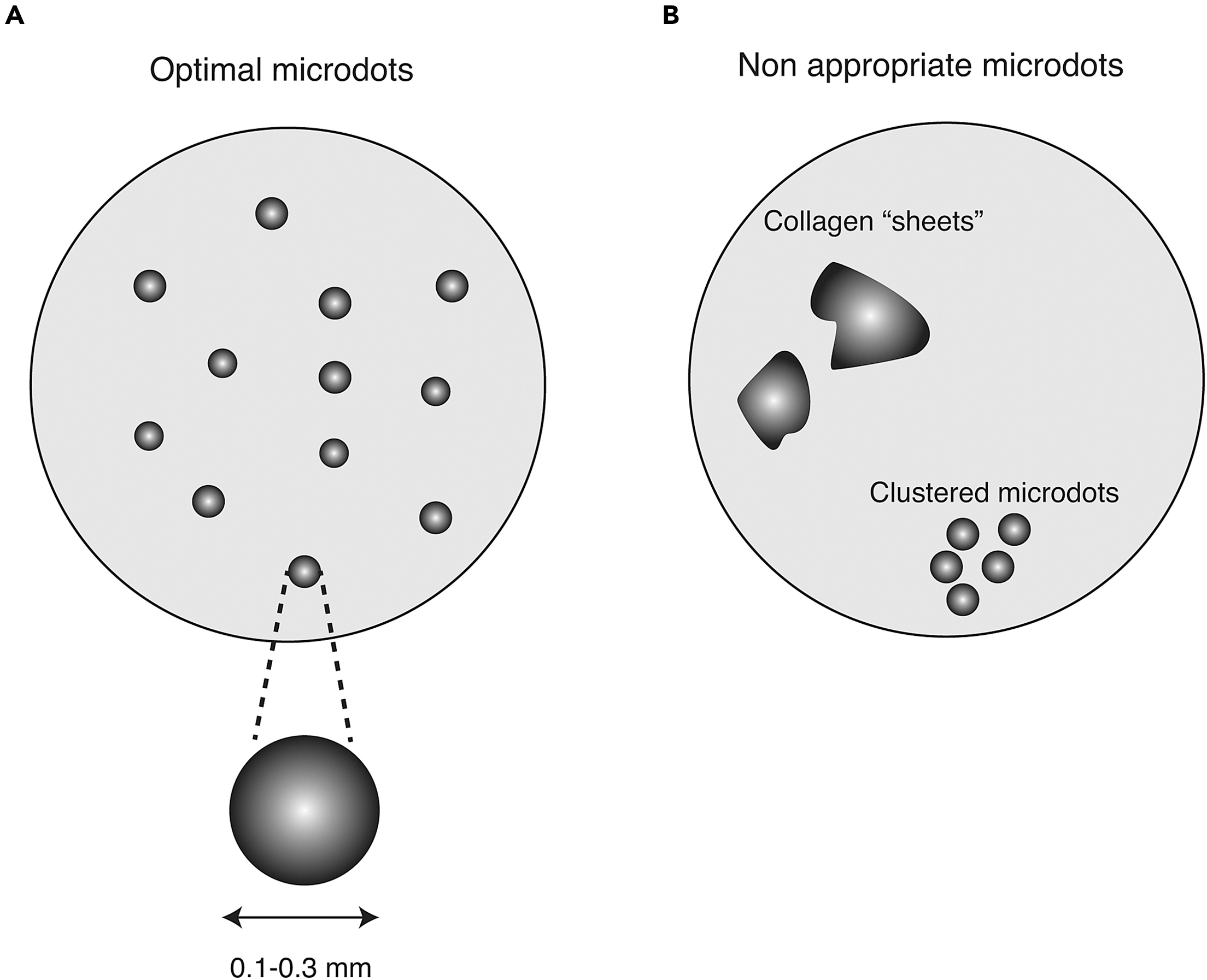 Cell Press: STAR Protocols