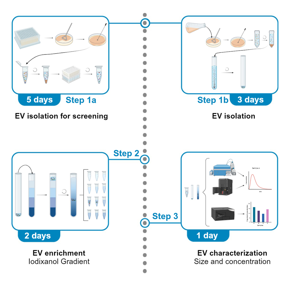 Cell Press: STAR Protocols